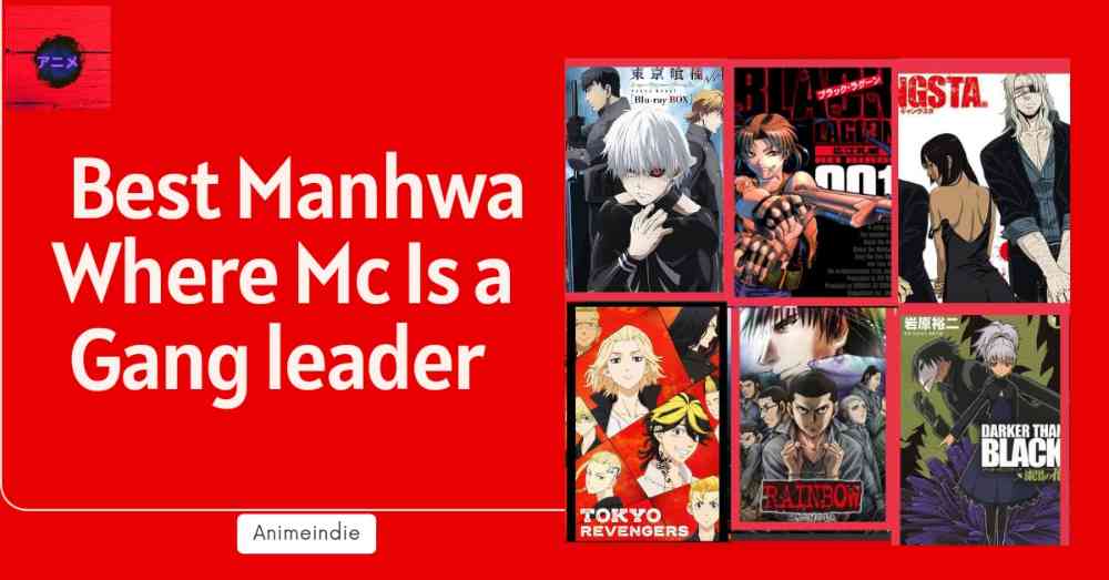 12 Best Manhwa Where Mc Is a Gang leader (List)