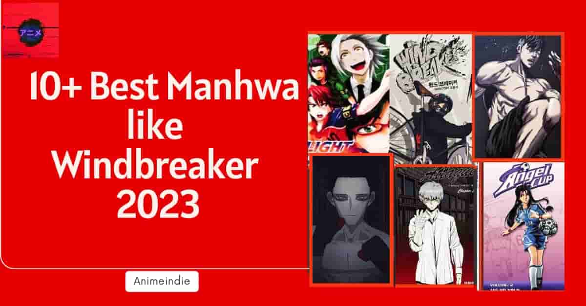 10+ Best Manhwa like Windbreaker